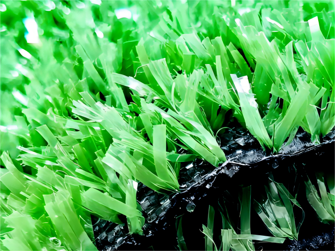 , Landscape Grass