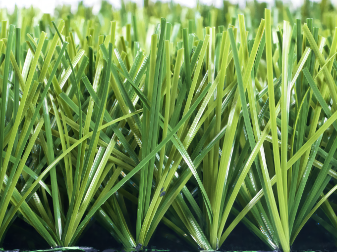 , Football Grass