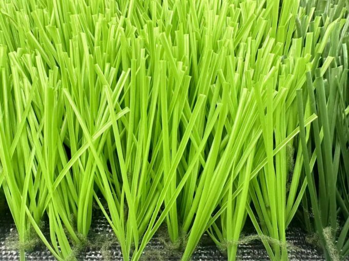 , Football Grass