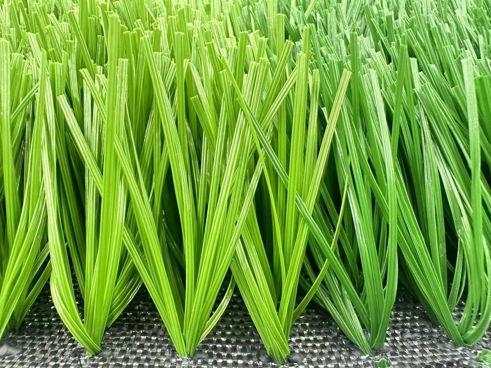 , Football Grass