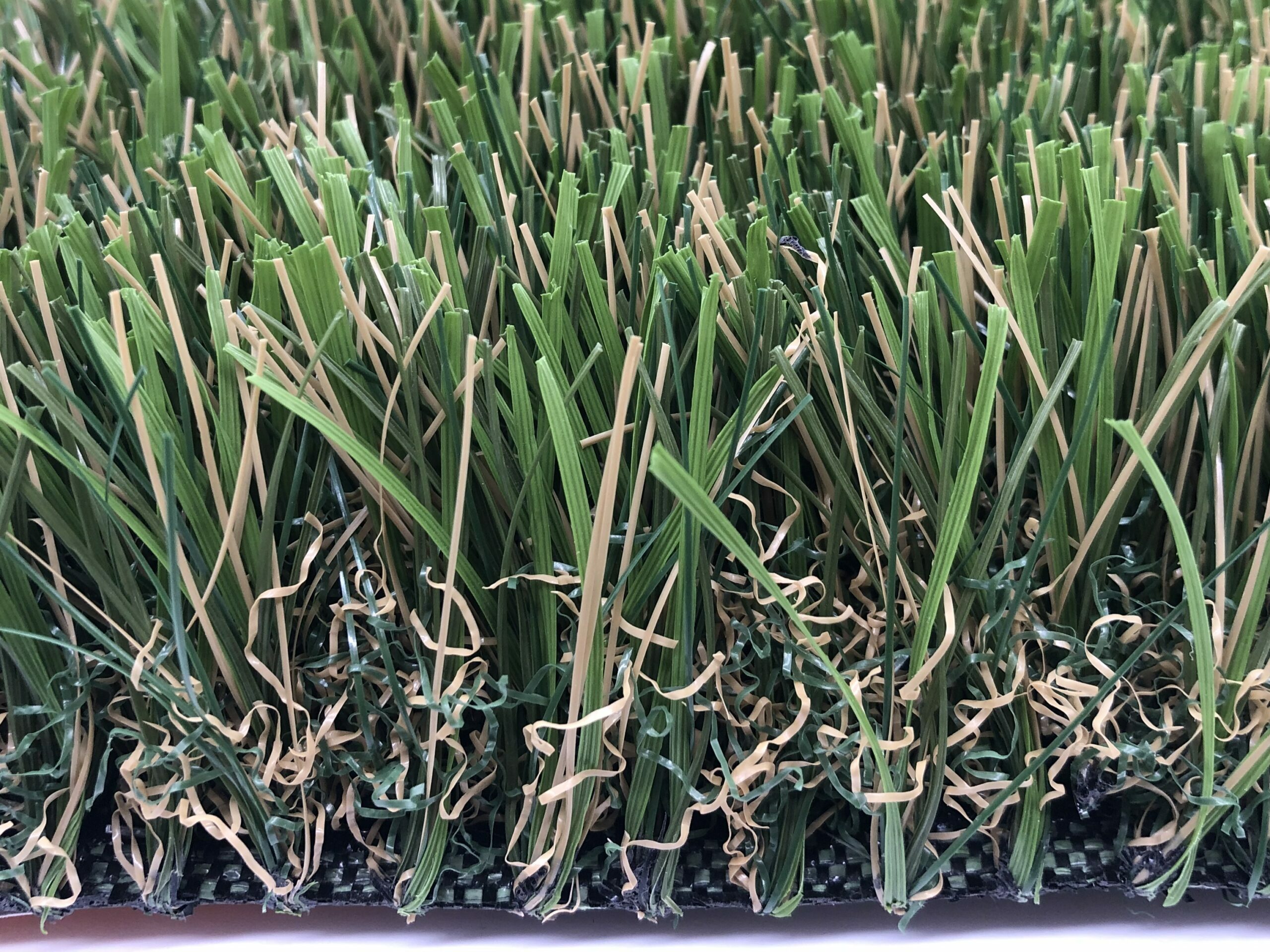 , Landscape Grass