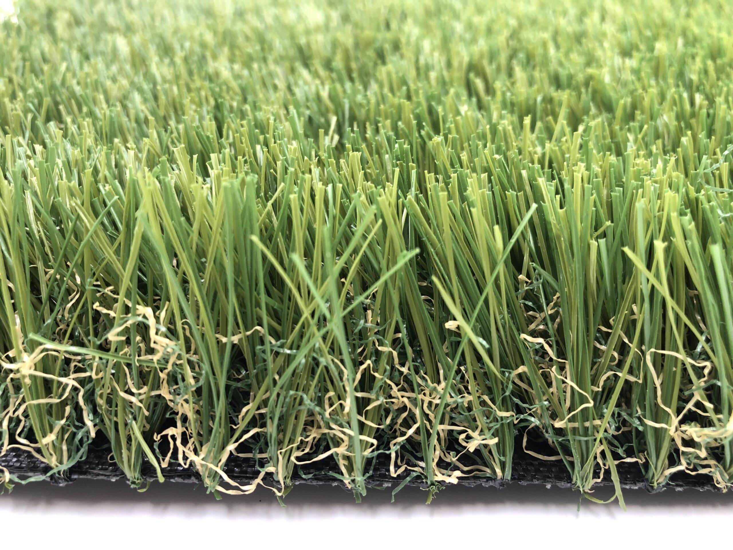 , Landscape Grass