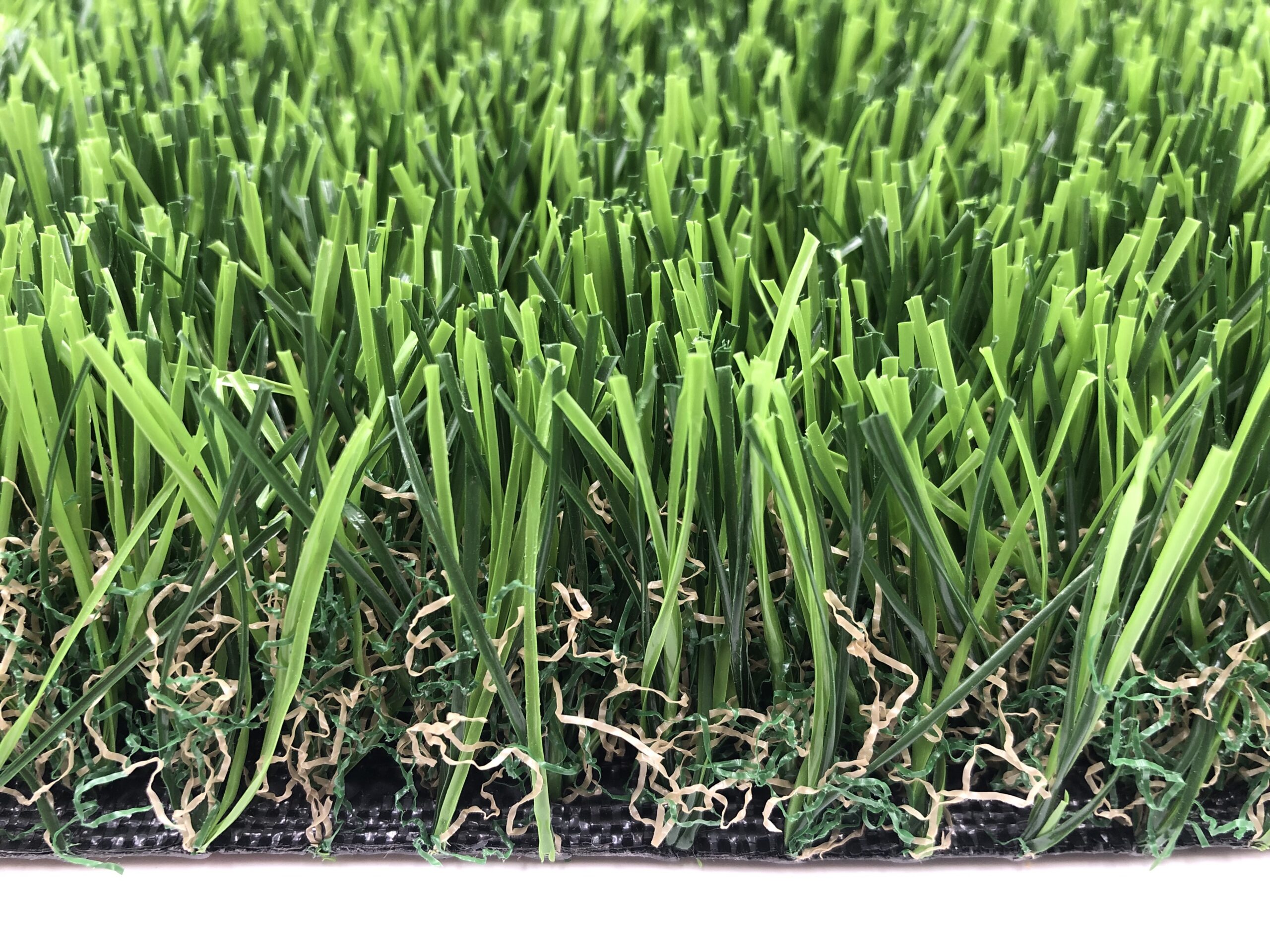 , Landscape Grass