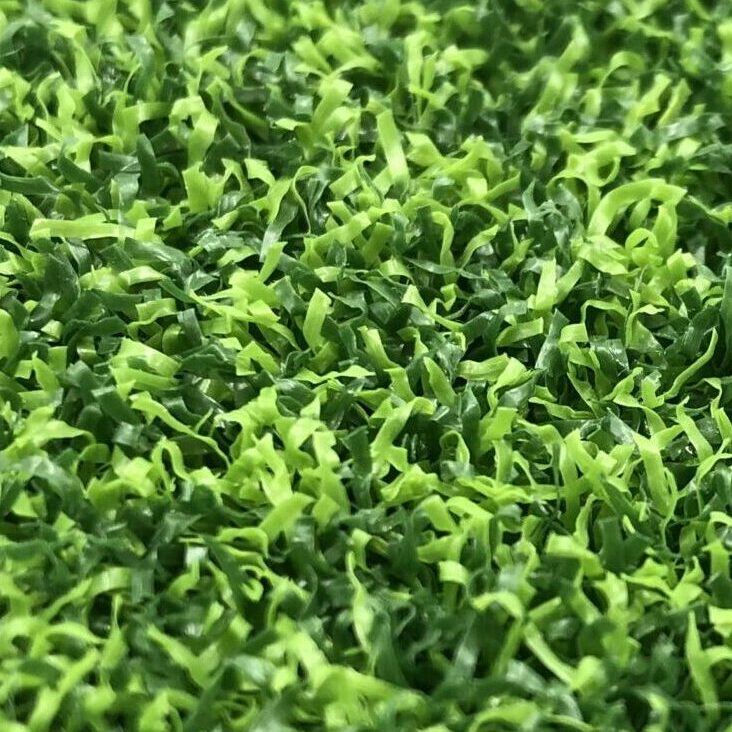 , Tennis Grass