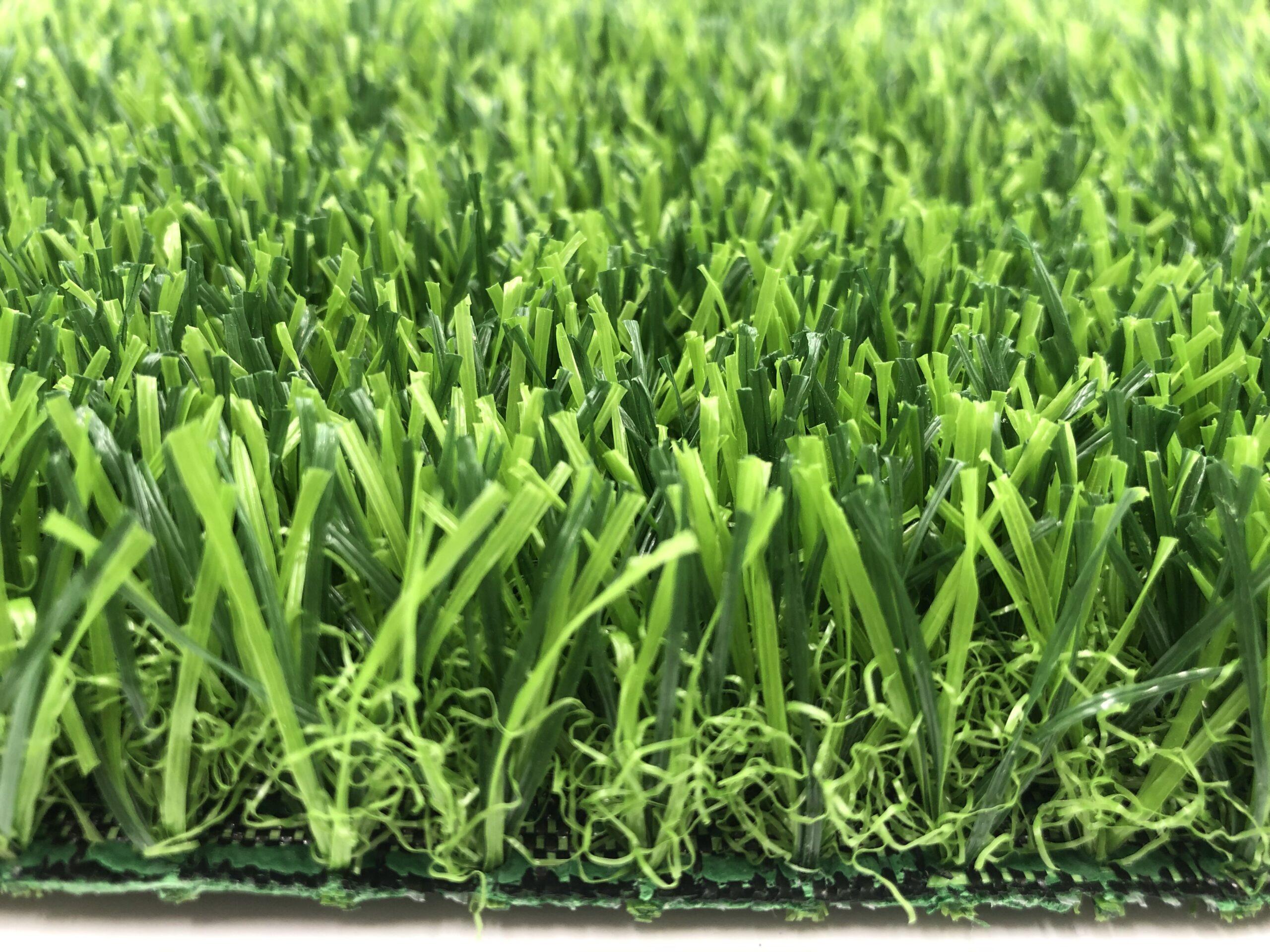 , Landscape Grass