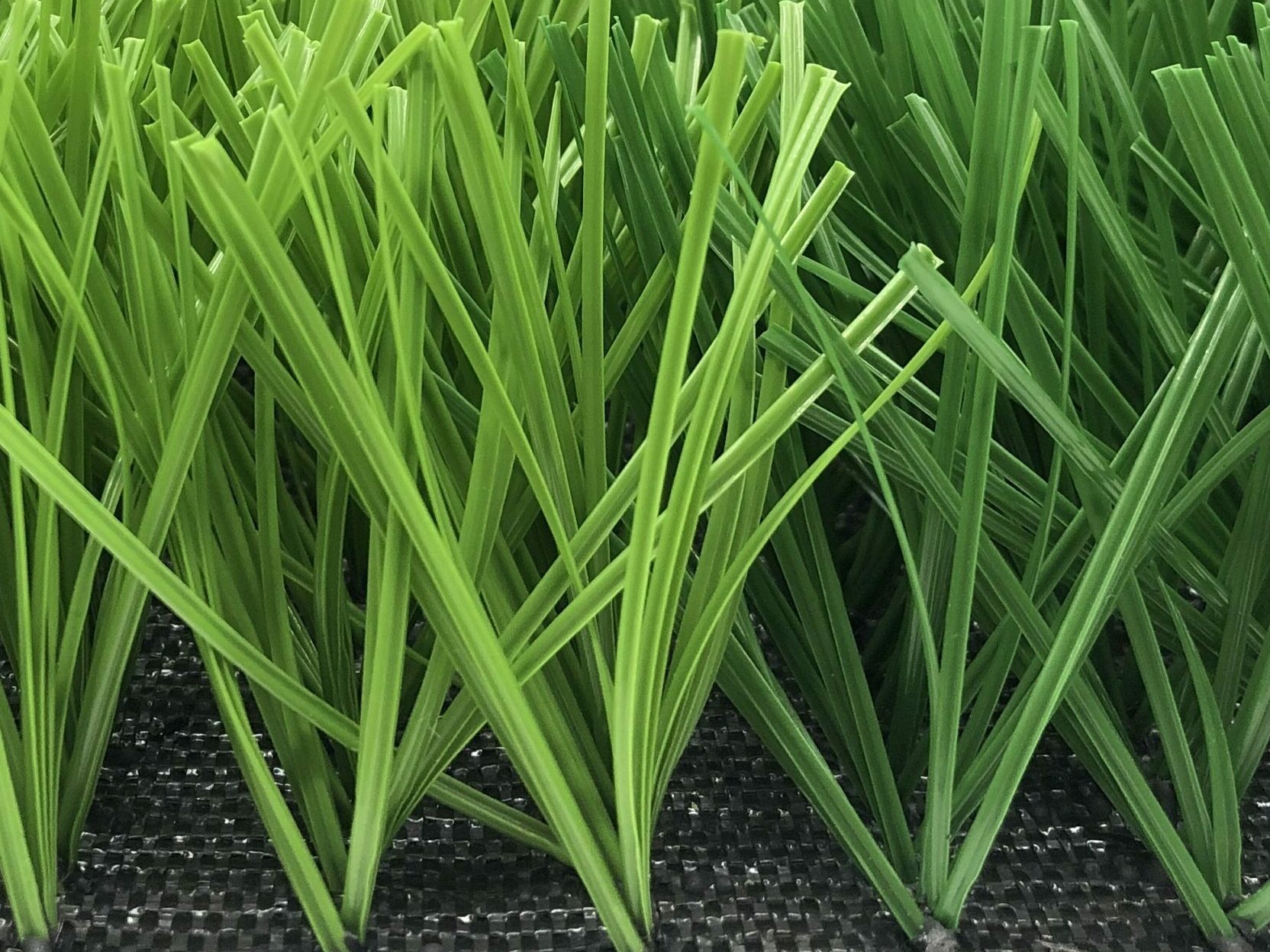 , Football Grass